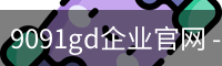 9091gd企业官网